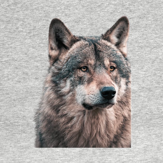 Wolf by My Kickincreations